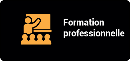 Formation professionnelle